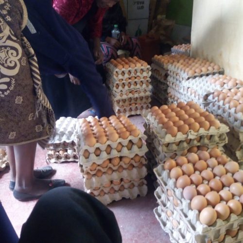Women Like Us Center in Kenya - gathering eggs Women Like Us Center in Kenya - gathering eggs