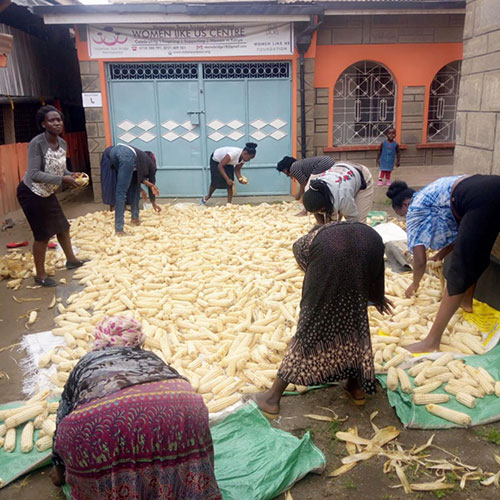 Women gathering corn at the center Women gathering corn at the center